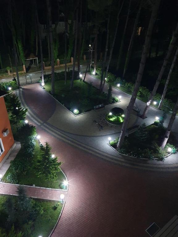 Zahrada ubytování Buxus Hotel Shekvetili