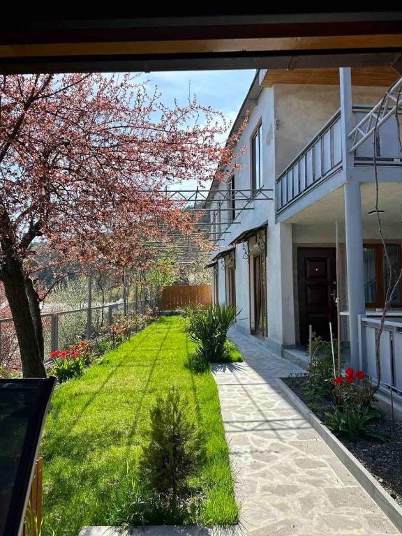 Zahrada ubytování Guest house LALO