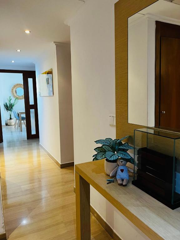 Fotografie z fotogalerie ubytování Travel Habitat - Ciudad de las Ciéncias ve Valencii