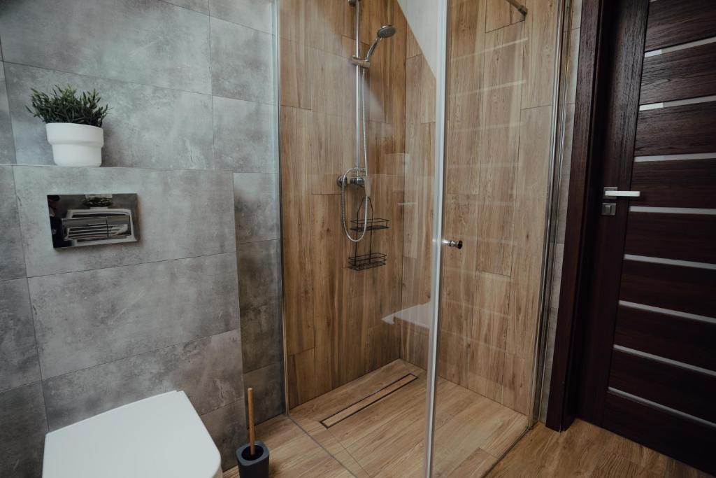 Apartamenty Kaszuba - One-Bedroom Apartment With Garden View