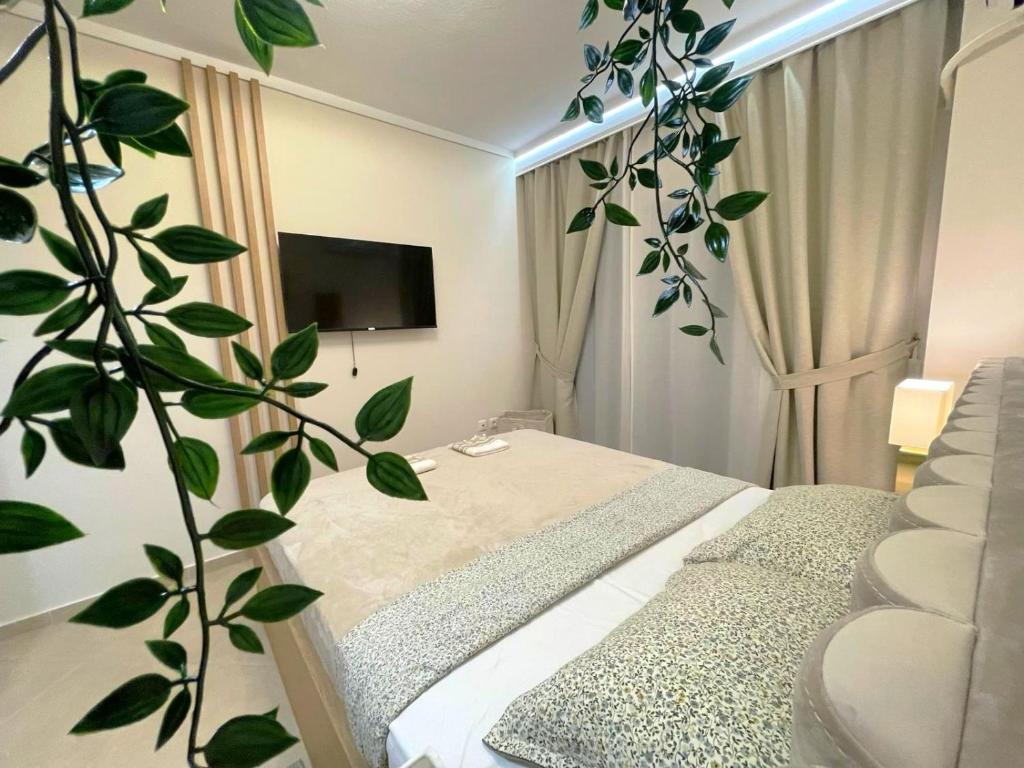 een slaapkamer met een bed en een plant bij Fterna Apartment in Perea