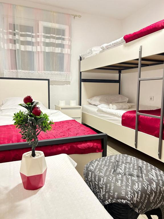 a room with two bunk beds and a table with a plant at Sneza in Podgorica