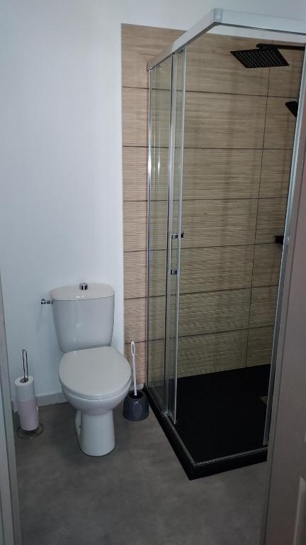 Koupelna v ubytování Duplex Sables d'Or