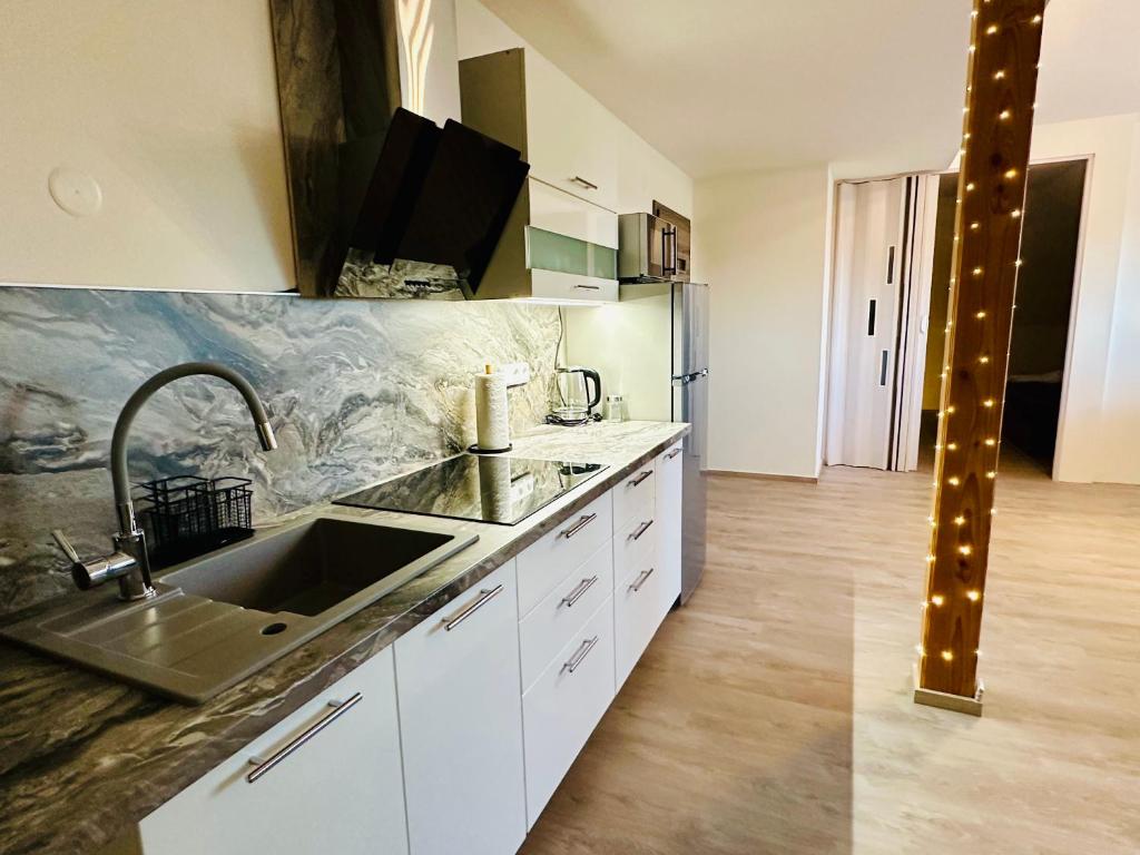 Kuchyň nebo kuchyňský kout v ubytování Elements Lednice