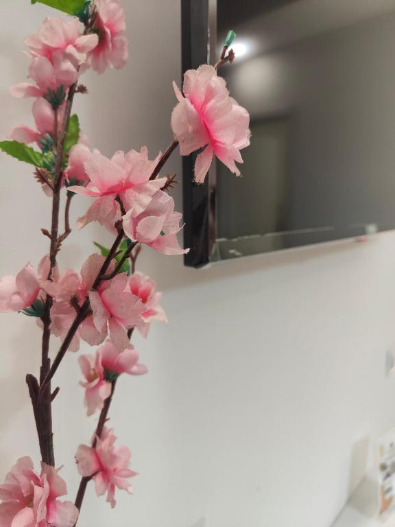 Fotografie z fotogalerie ubytování Camelia Vico Equense v destinaci Vico Equense
