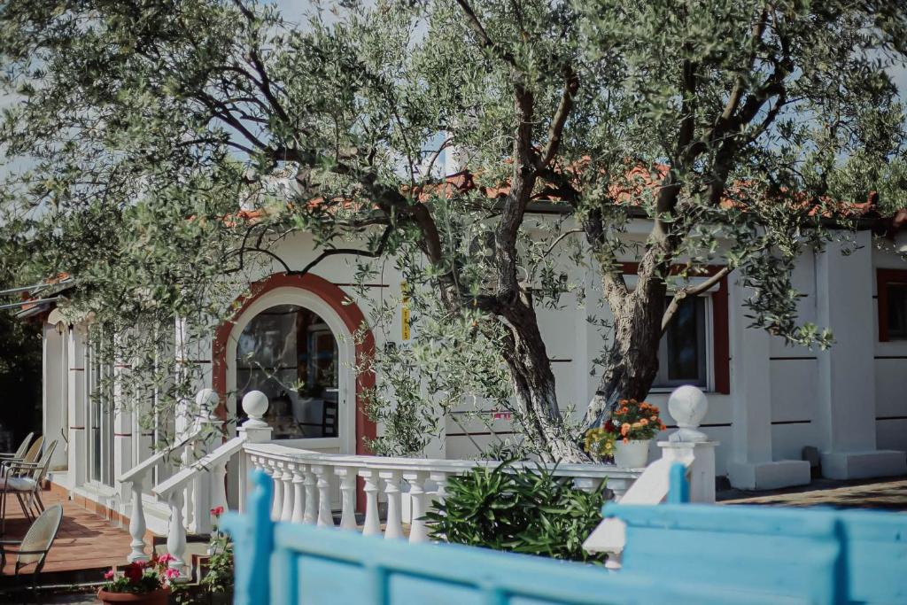a house with a tree and a white fence at Resort Dimitris in Alexandroupoli