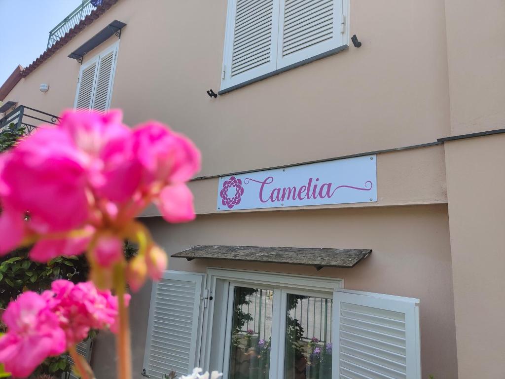 Fotografie z fotogalerie ubytování Camelia Vico Equense v destinaci Vico Equense