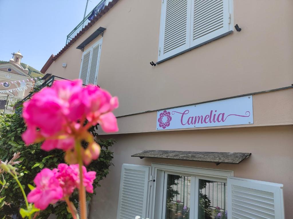 Certifikát, hodnocení, plakát nebo jiný dokument vystavený v ubytování Camelia Vico Equense