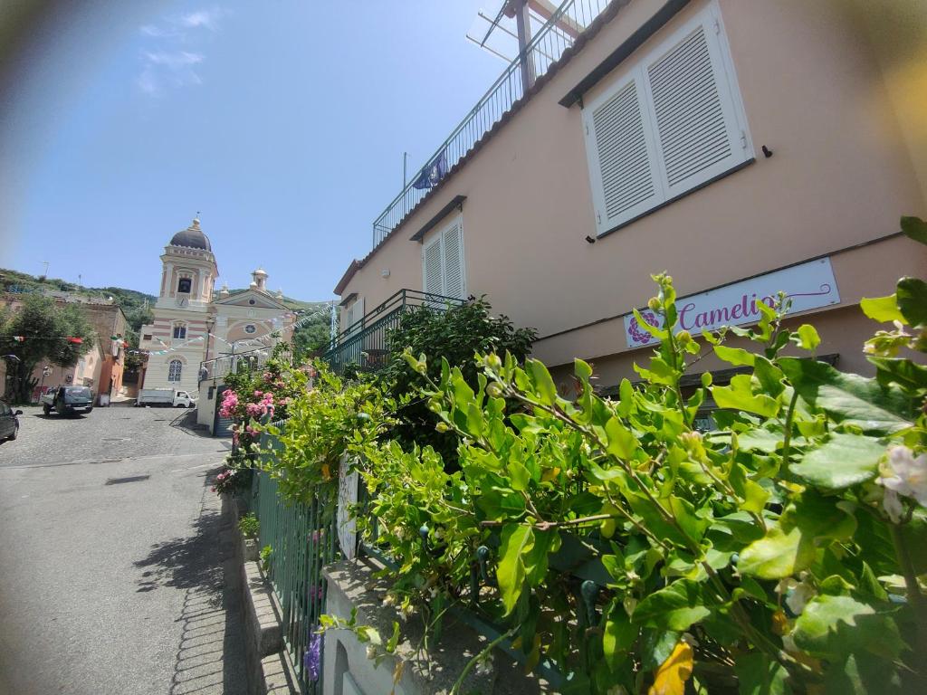 Okolí bed and breakfast