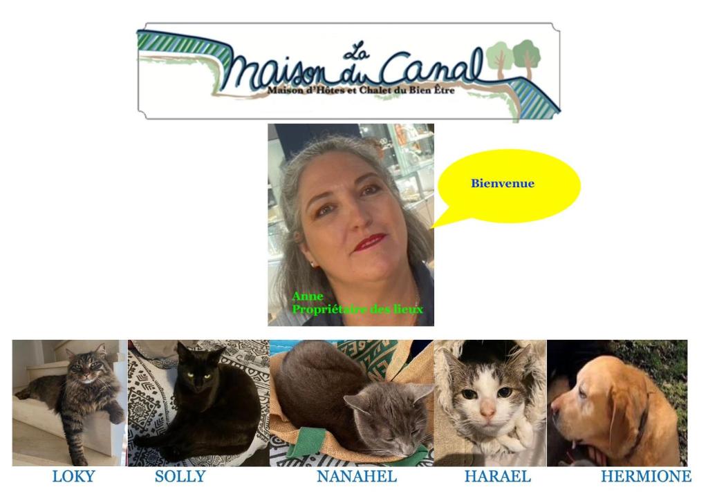 a woman with a collage of cats and dogs at La Maison du Canal de Rompsay - 5 min de la Rochelle in Périgny