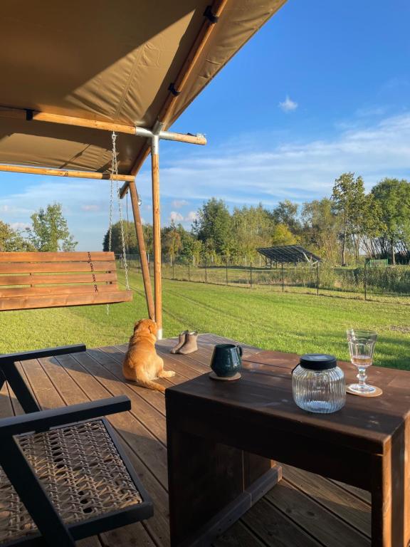 Fotografie z fotogalerie ubytování Sielanka Glamping v destinaci Pobiel