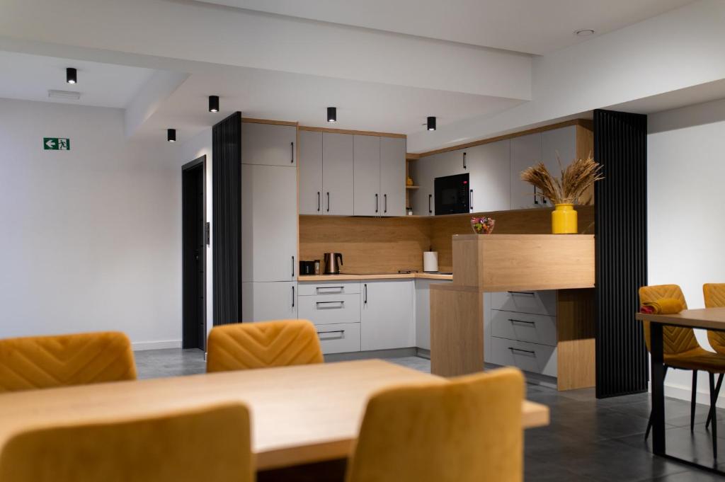 Apartamenty Loftove - 14