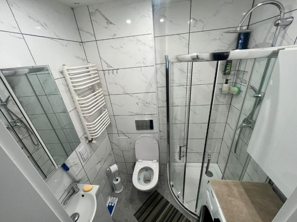 un piccolo bagno con doccia e servizi igienici di Apartament na wyłączność plus Prywatny Parking a Pyskowice