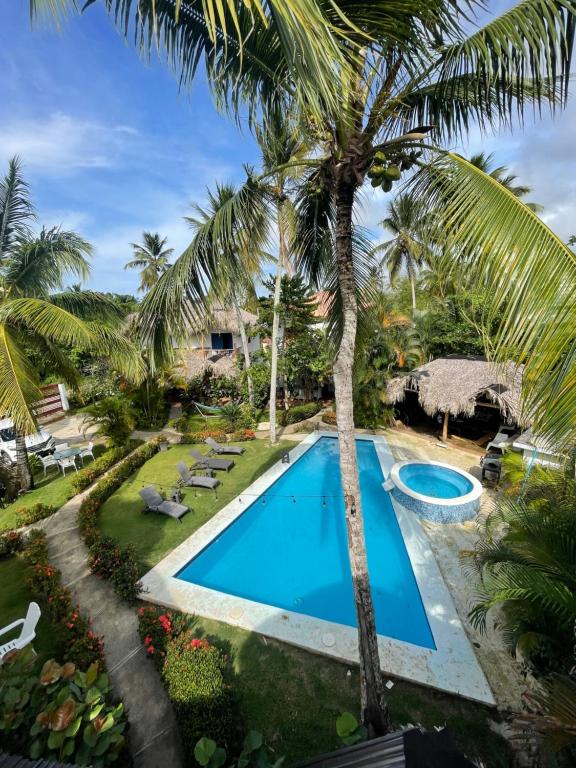 uma vista superior de uma piscina com uma palmeira em VillasMana Complex PlayaBonita LasTerrenas Samana NearBeach WiFi em Las Terrenas