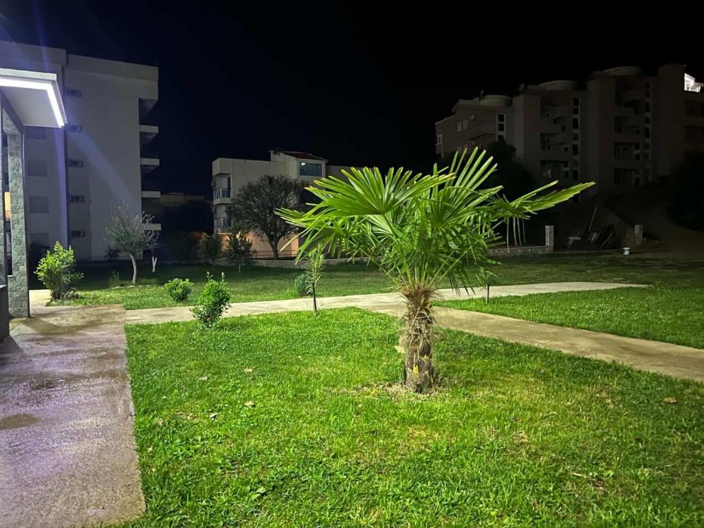 a palm tree in the grass in a park at night at Summer Dreams in Bar