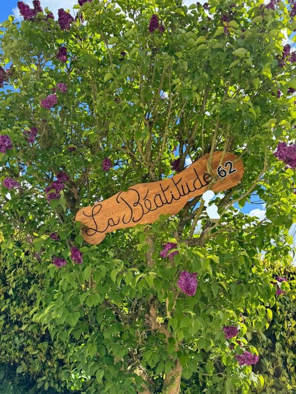un panneau dans un arbre avec des fleurs violettes dans l'établissement Beatitude62, à Fauquembergues
