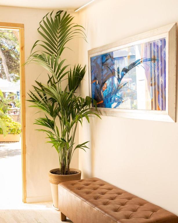 A television and/or entertainment centre at Sitges Beach Hostal