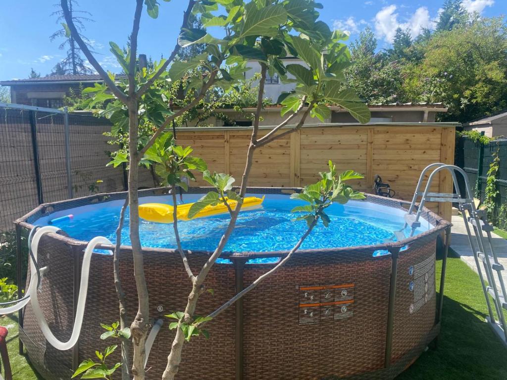un bain à remous dans un jardin à côté d'un arbre dans l'établissement CHEZ MOUNAIM, à Bondy