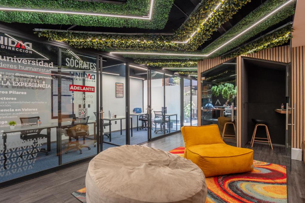 A lounge with a yellow armchair, beanbag seating, glass meeting rooms, and colorful patterned rugs.