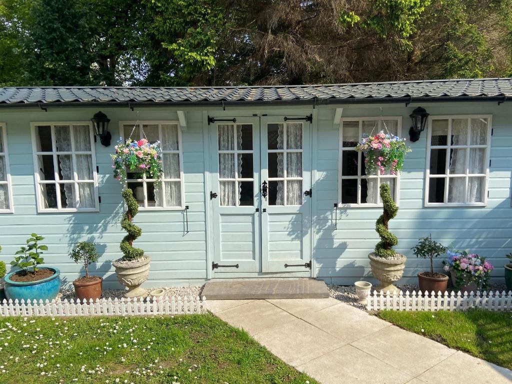 a blue cottage with flowers on the windows at Ty Hafan in Holywell