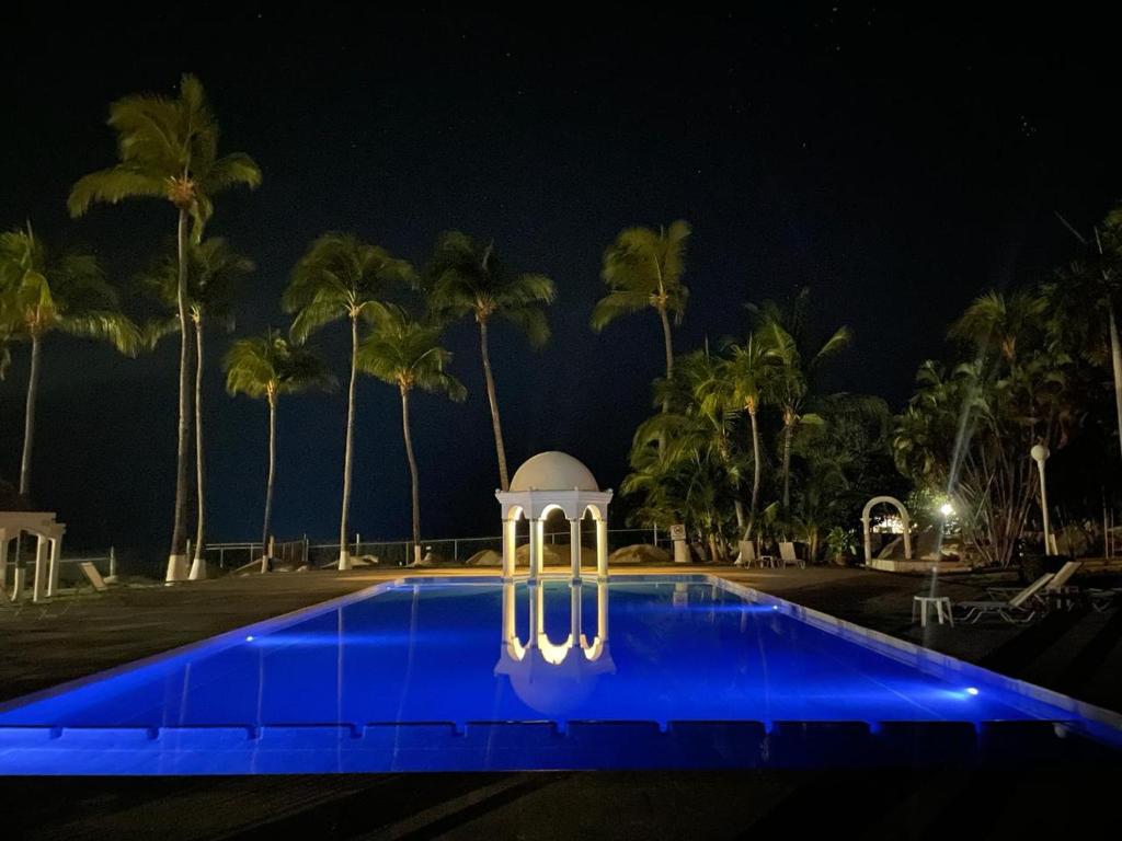a swimming pool at night with palm trees at Hotel Aldea del Bazar & Spa in Puerto Escondido