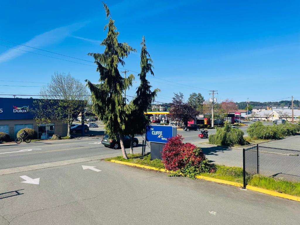 an empty parking lot with a tree and a street at The Cliffe in Courtenay