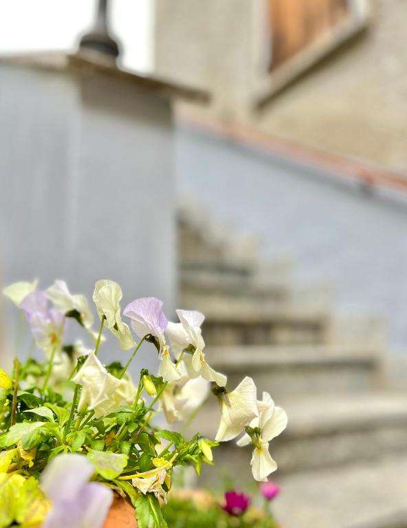 Zdjęcie z galerii obiektu Agriturismo La Vecchia Chioderia w mieście Grandola ed Uniti