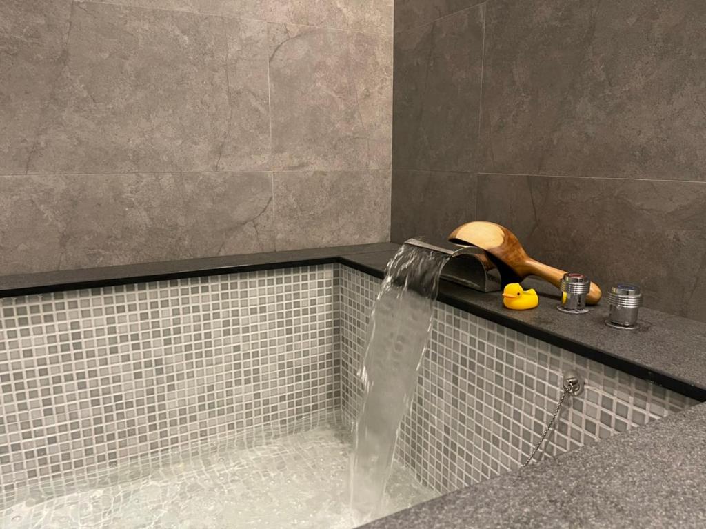 Great Roots Forestry Spa Resort - Superior Appartement