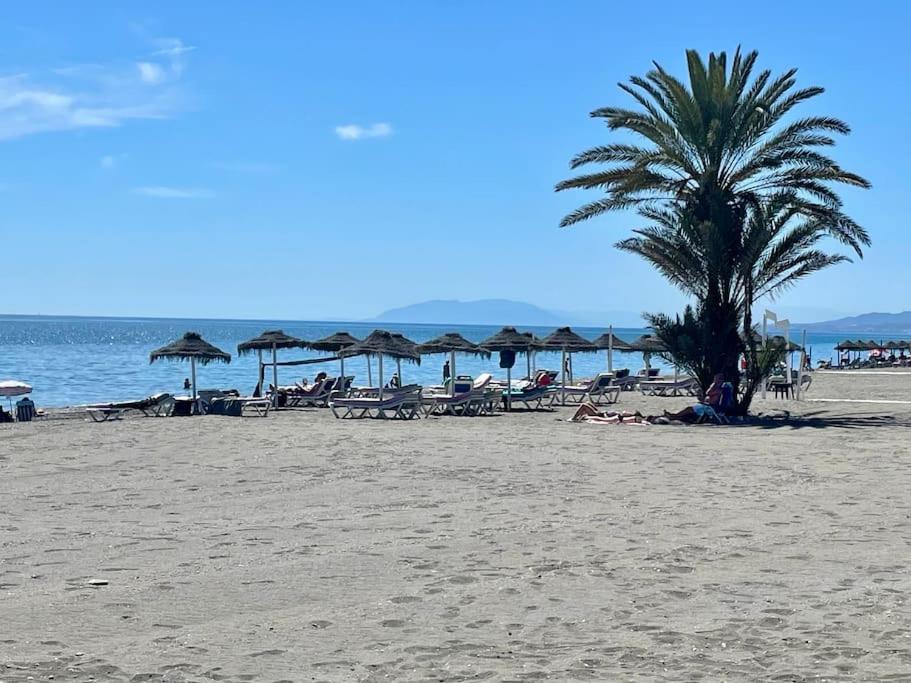 a beach with a palm tree and chairs and umbrellas at Geysotur Torrox Playa Apartamentos in Torrox