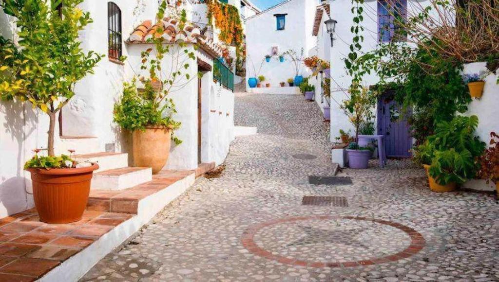 Une allée avec des plantes en pot sur le côté d'un bâtiment dans l'établissement Estudio Rural el Acebuchal by At Home Costa del So, à Acebuchal