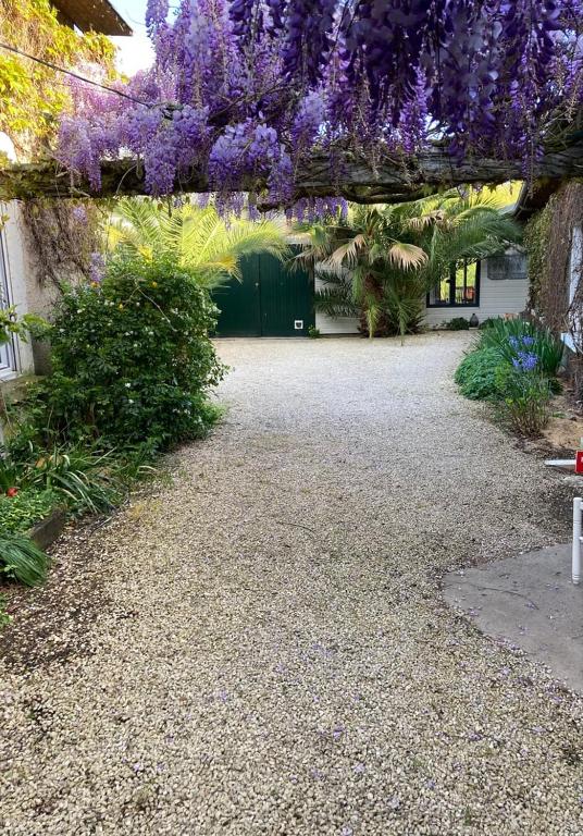 un jardin avec des fleurs violettes suspendues au-dessus d'une passerelle dans l'établissement La berge du Clain - Joli appartement à Poitiers, à Poitiers