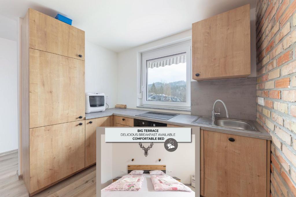 a small kitchen with a stove and a sink at Apartma Naravni biser in Brezje