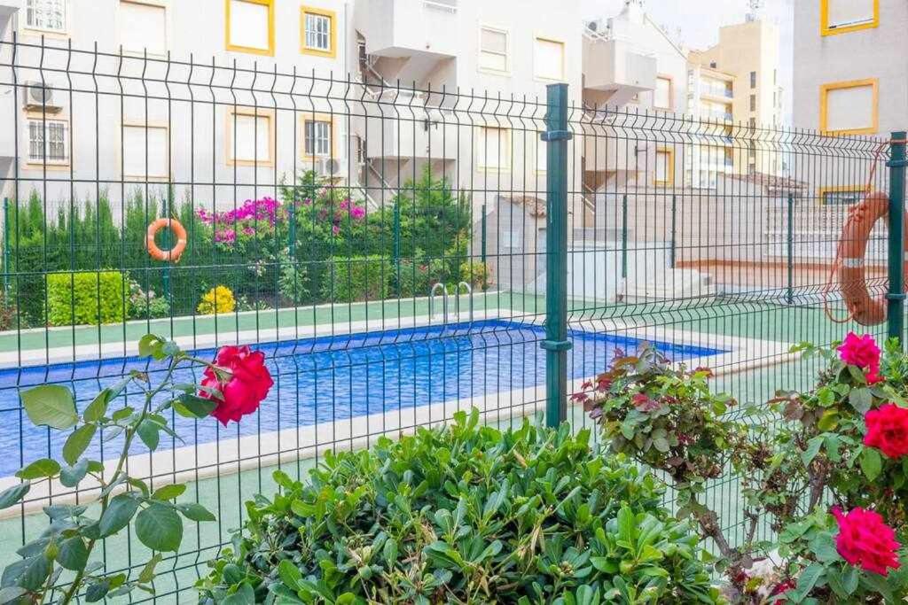 Bazén v ubytovaní Apartamento Pink Summer alebo v jeho blízkosti