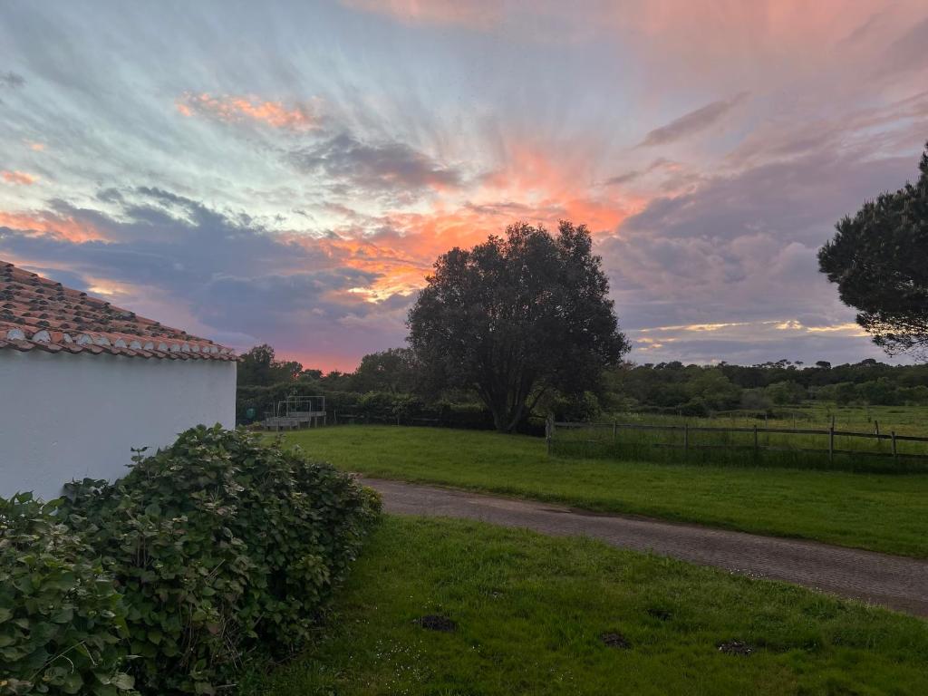 Príroda v okolí dovolenkového domu