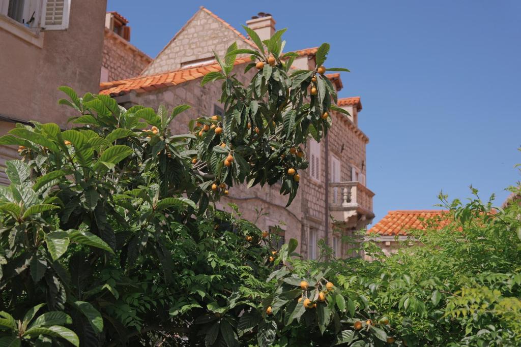 Old Town Green Oasis House