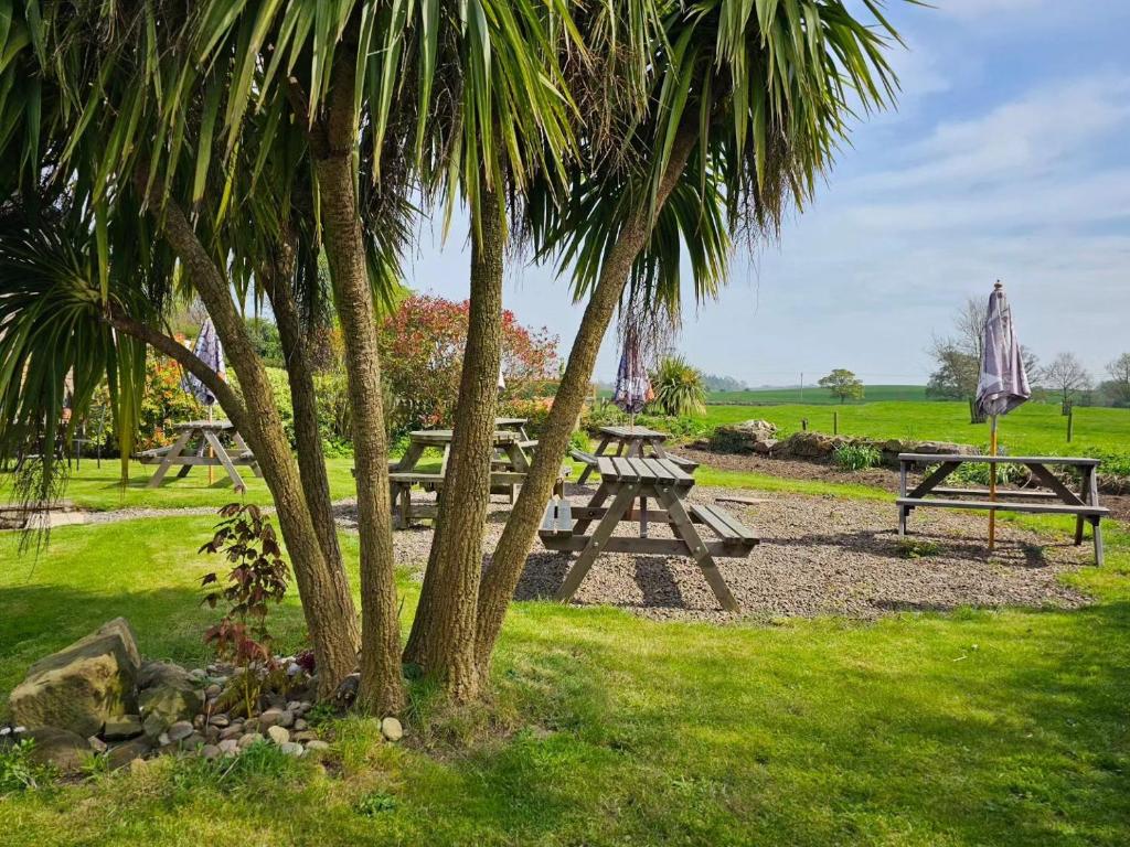 Ellingham的住宿－The Pack Horse Inn，公园里的野餐桌和棕榈树