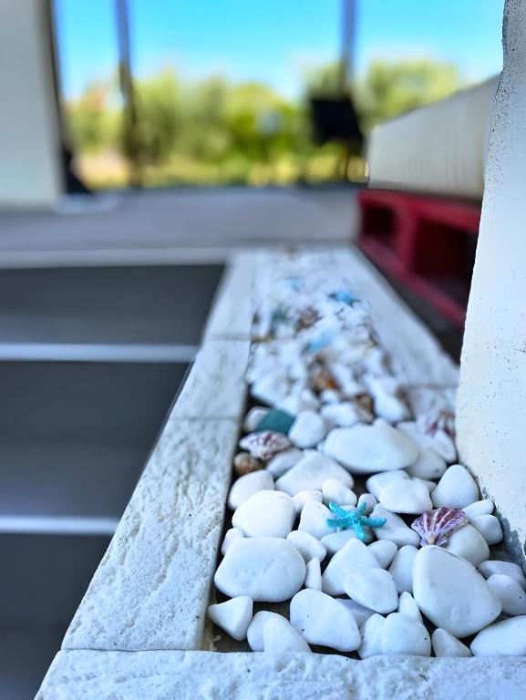 Jacque's Boutique Suite - 19