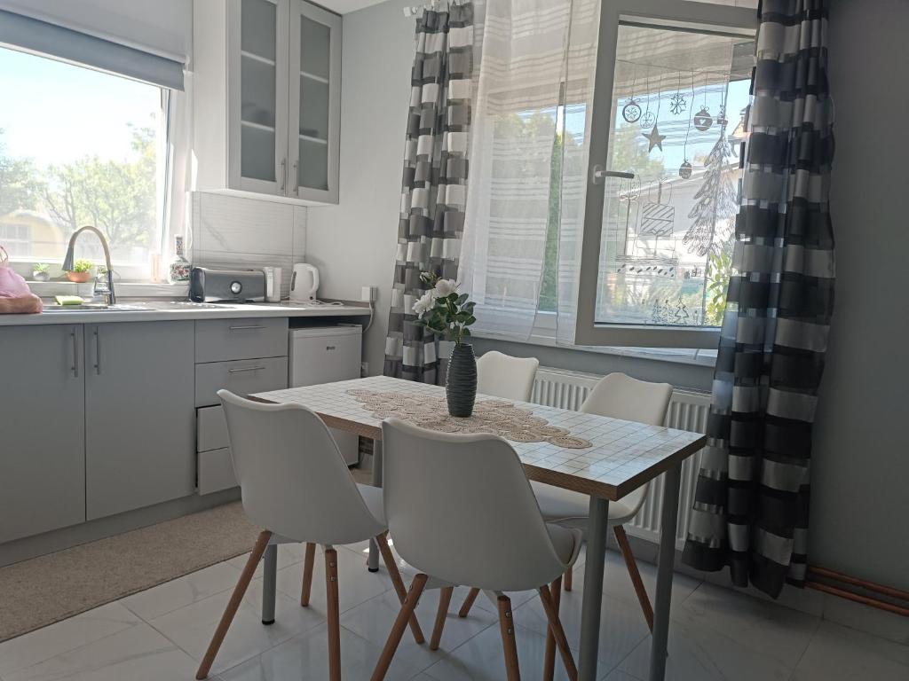 a kitchen with a table and chairs in a kitchen at Nas San lower apartment in Vrdnik