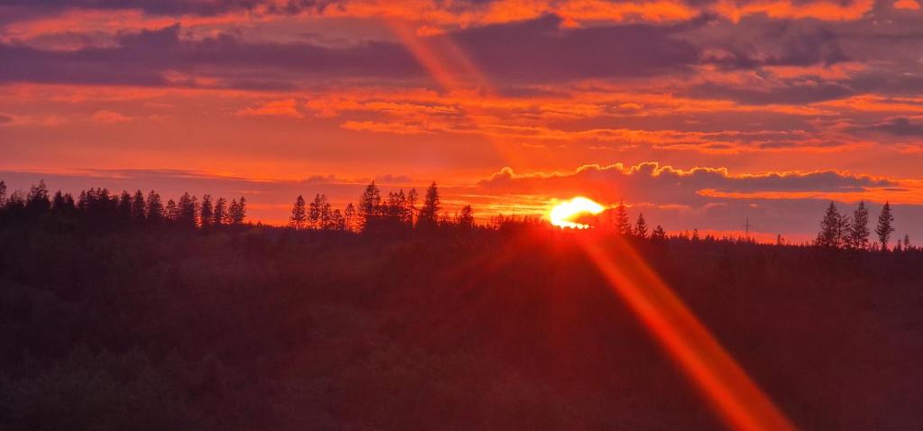 een zonsondergang in het bos met zonsondergang bij Harztraum in Altenau