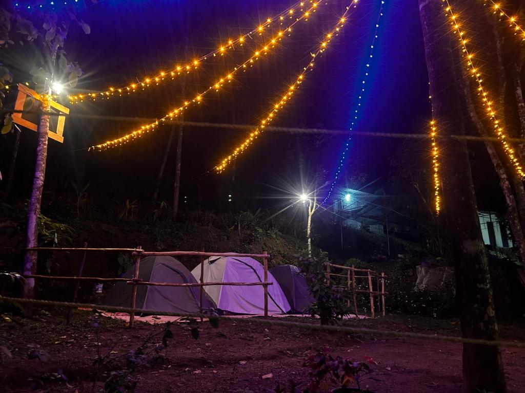 Kuvagallerian kuva majoituspaikasta Nebula Nest Tent Camping Munnar, joka sijaitsee kohteessa Munnar