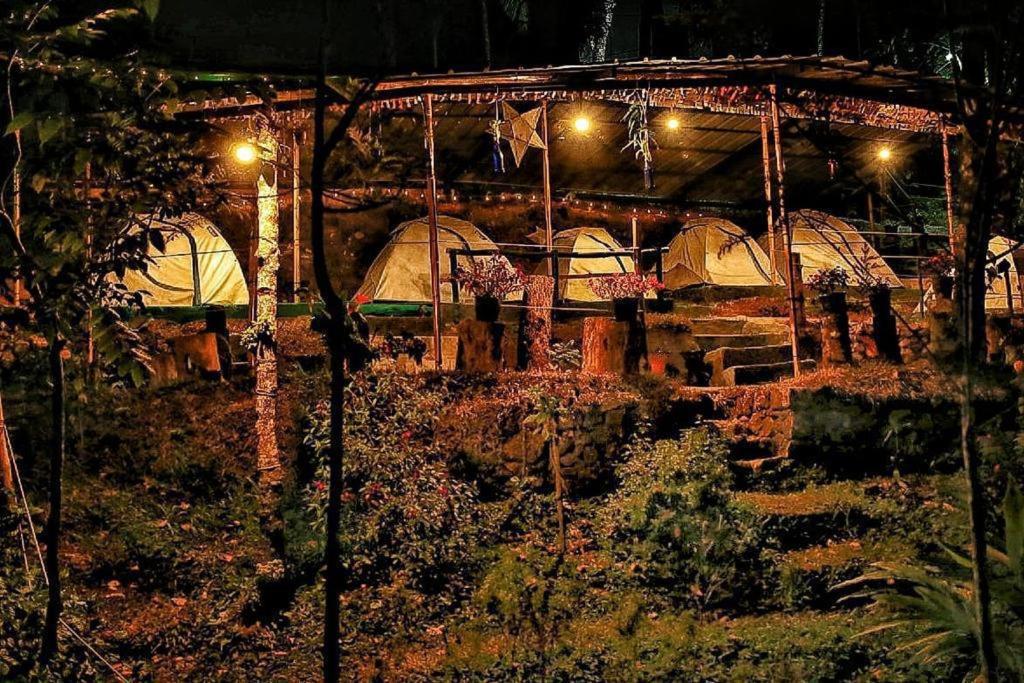 un grupo de cúpulas en un jardín por la noche en Nebula Nest Tent Camping Munnar, en Munnar