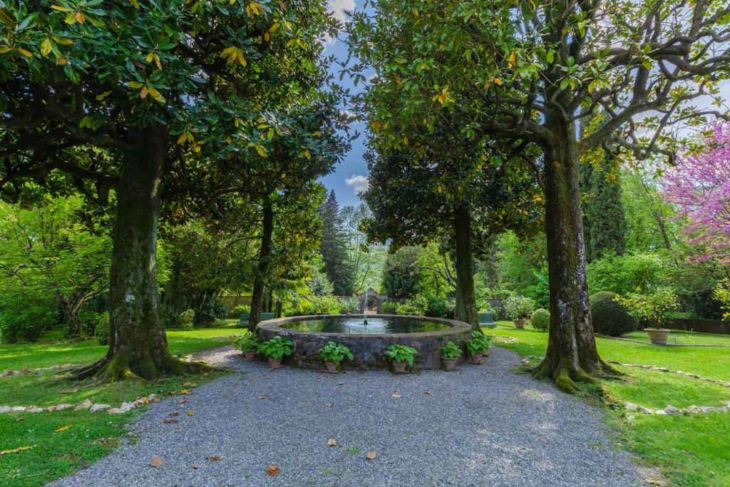 um parque com uma fonte no meio de duas árvores em Casa Cassettari, Apartment with Garden and pool em Ghivizzano