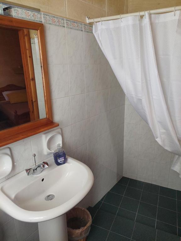 MJ Farmhouse B&B - 19