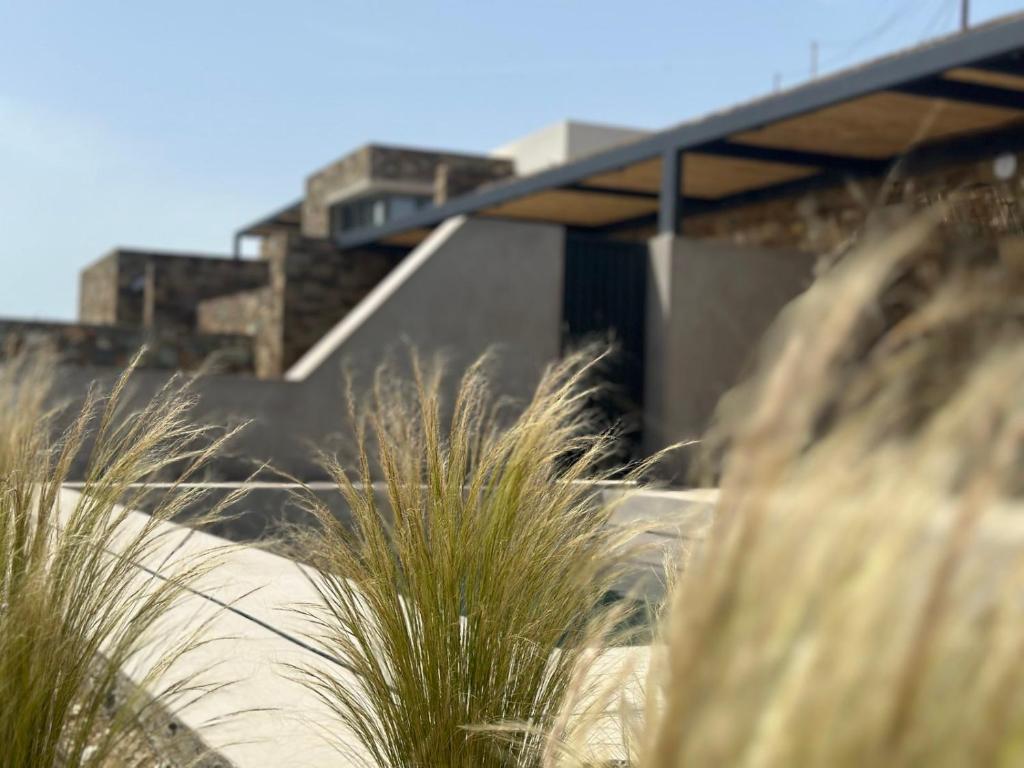 a building with tall grass in front of it at Syros Soul Private Pool Suites in Ermoupoli