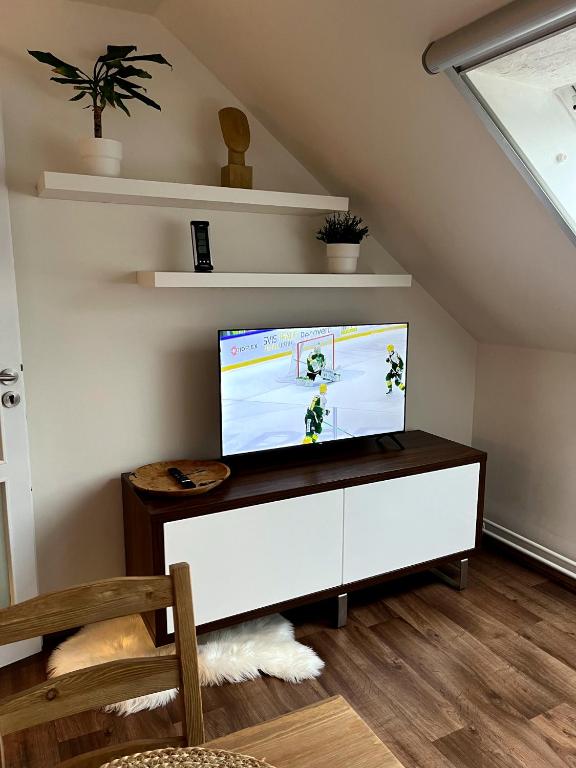 TV a/nebo společenská místnost v ubytování Apartmán Štěpán
