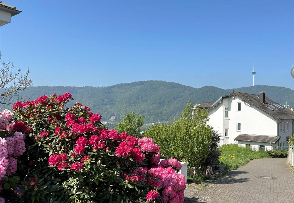 Ferienwohnung RheinPanorama, Lahnstein (aktualisierte Preise für 2025)