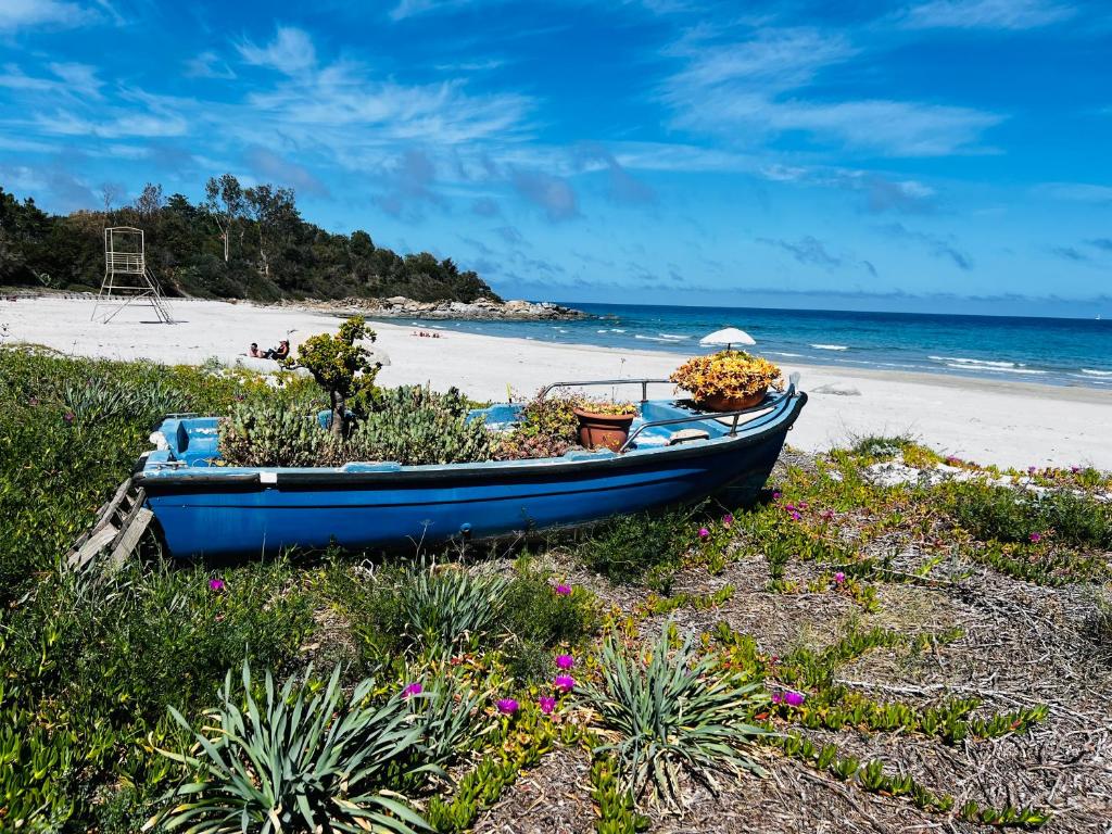 un barco azul sentado en la playa con flores en Appartamento Girasole, en Girasole