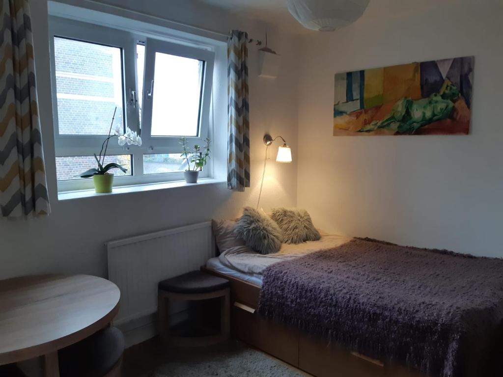 ロンドンにあるCosy room in Camden Town zone 2の小さなベッドルーム(ベッド1台、窓付)