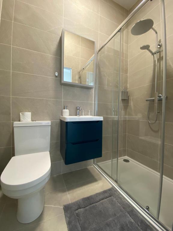a bathroom with a toilet and a sink and a shower at Carrick Gate in Carrick