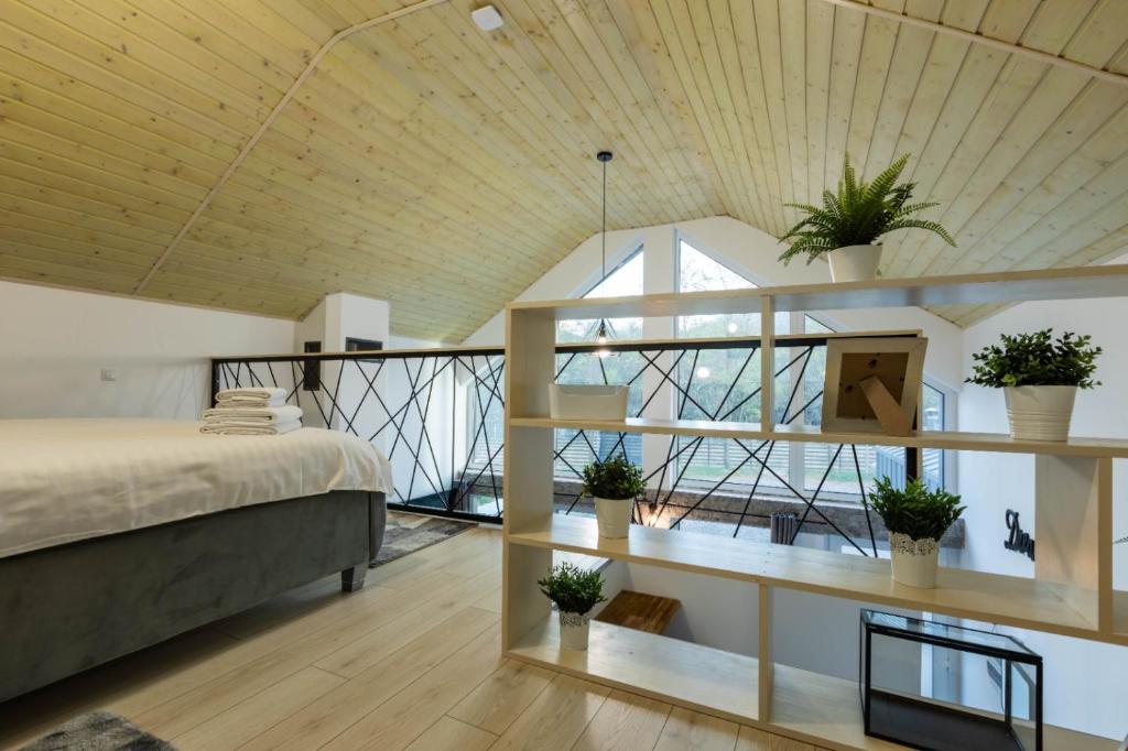 ラシュノフにあるOxigen Dreamのベッドルーム(ベッド1台、鉢植えの植物付)